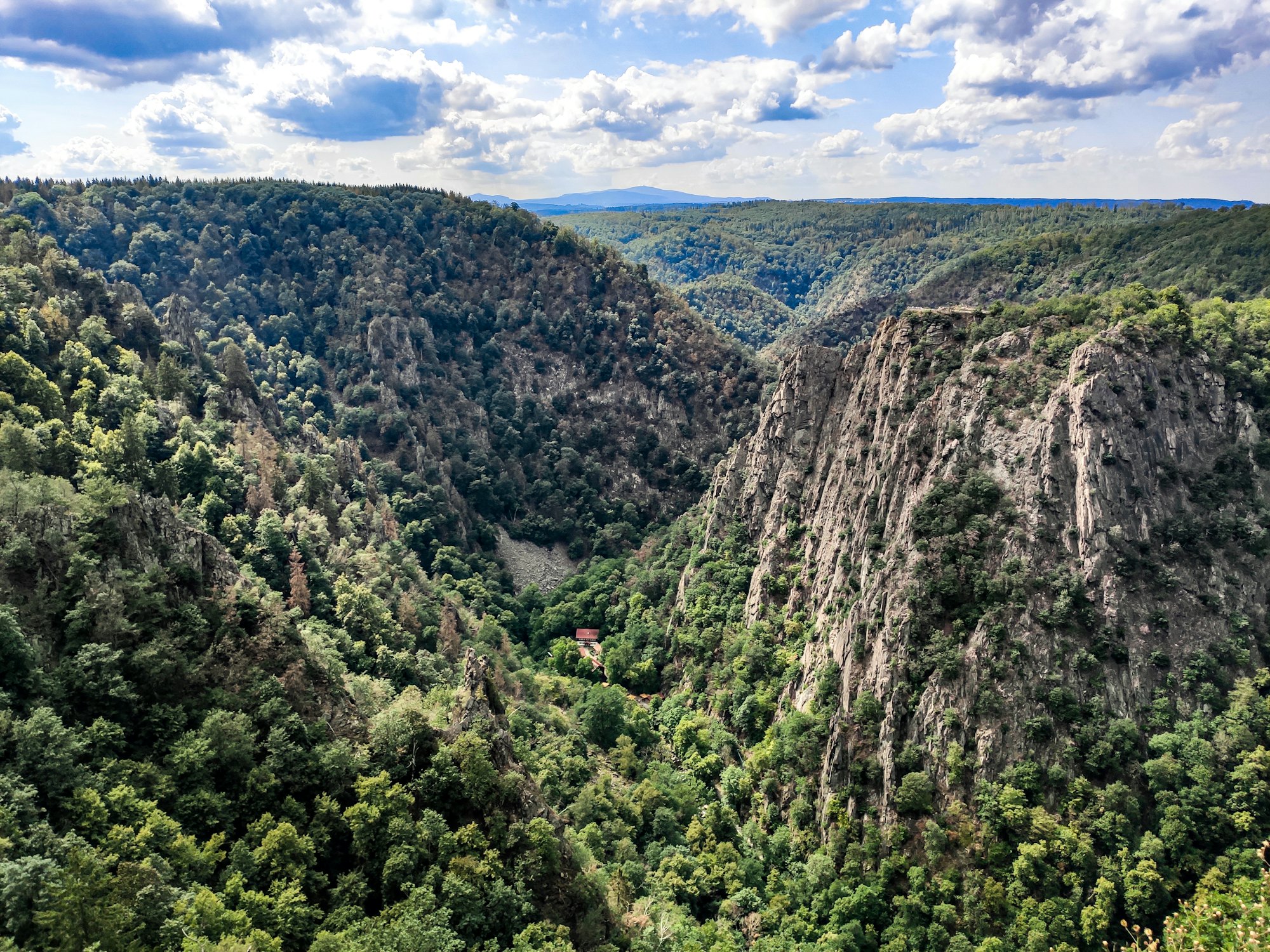 The wooded cliffs of the Bode valley in the Harz, under a summer sky