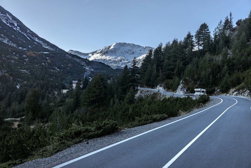 A winding road through a pine forest, snow-capped mountains in the distance