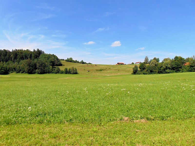 Green meadows under a wide blue sky in the Chiemgau, Bavaria